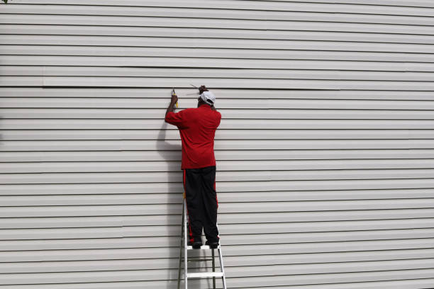 Best Aluminum Siding Installation  in USA